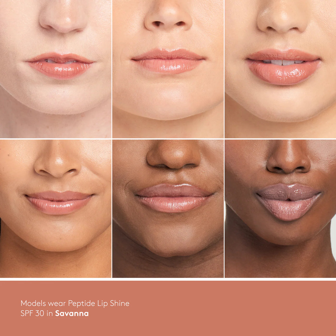Peptide Lip Shine SHADE SAVANA SPF 30