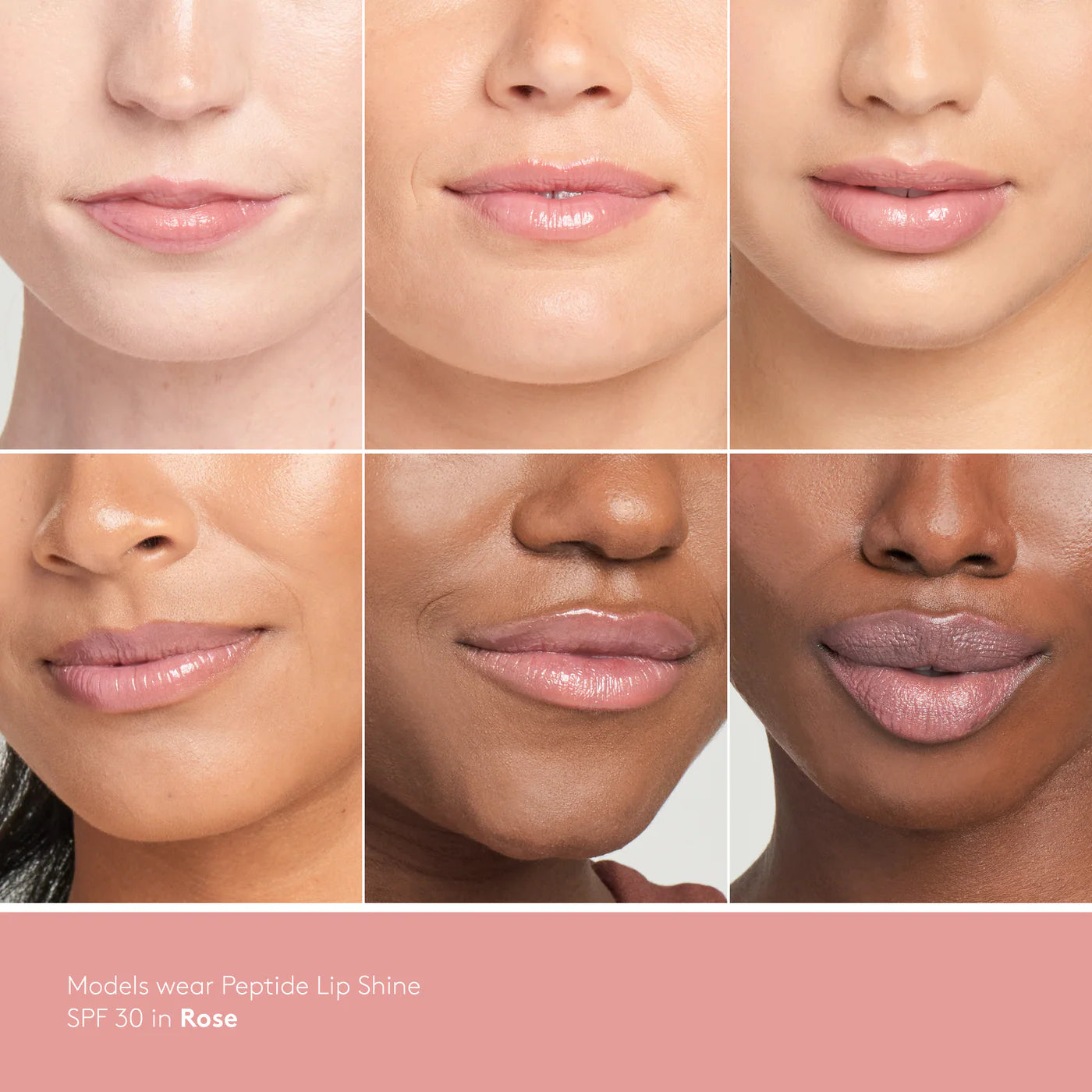Peptide Lip Shine SHADE ROSE SPF 30