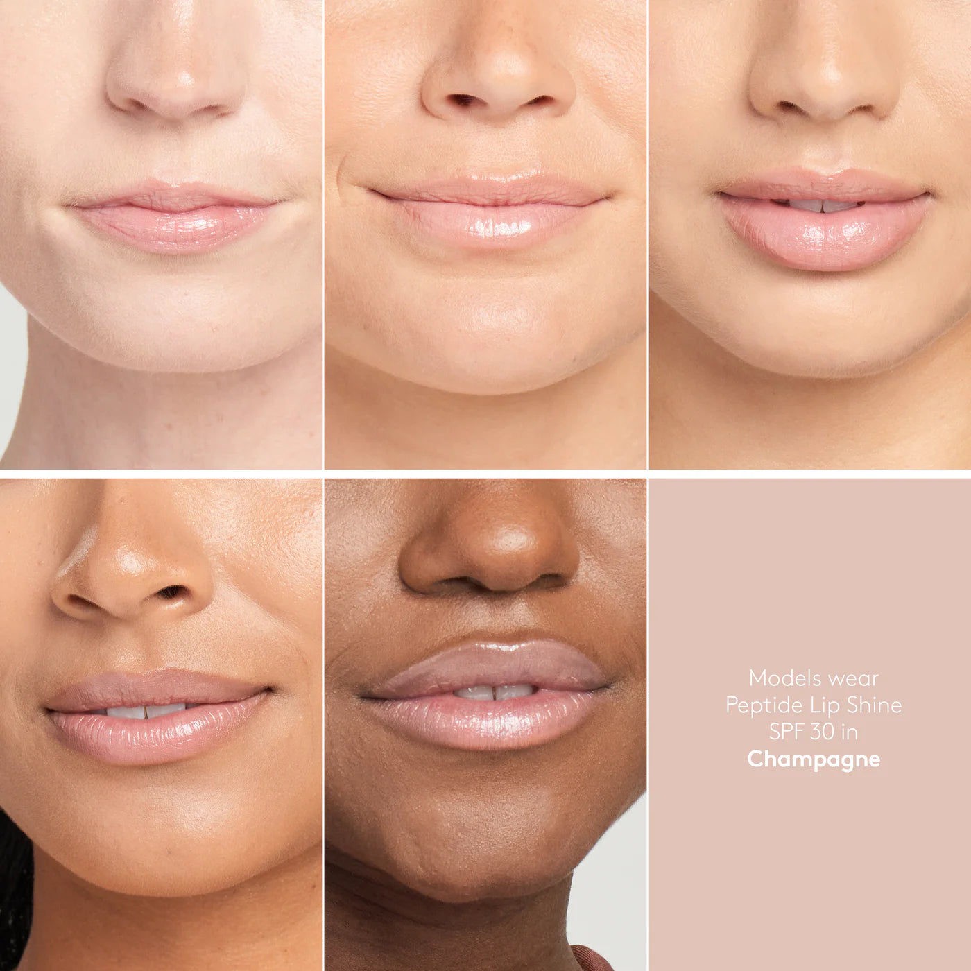 Peptide Lip Shine SHADE CHAMPAGNE SPF 30
