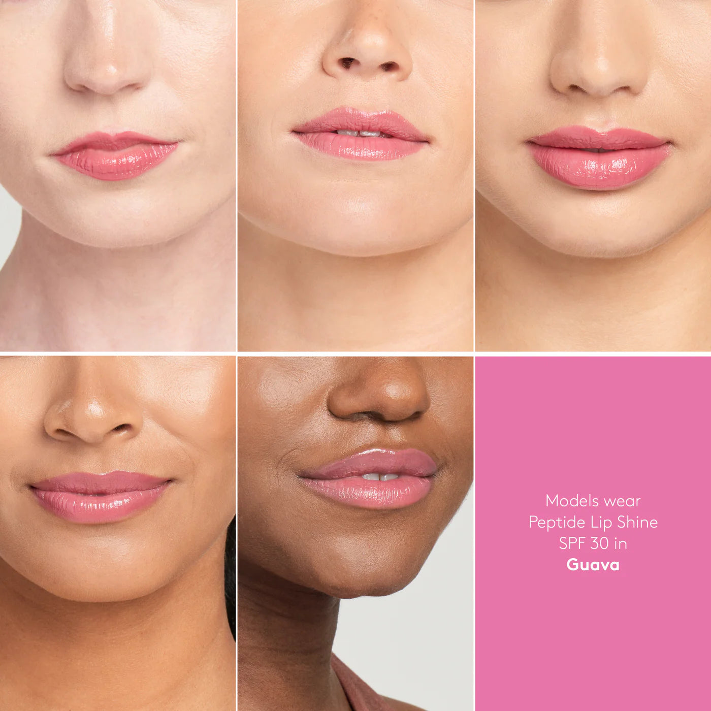Peptide Lip Shine SHADE GUAVA SPF 30